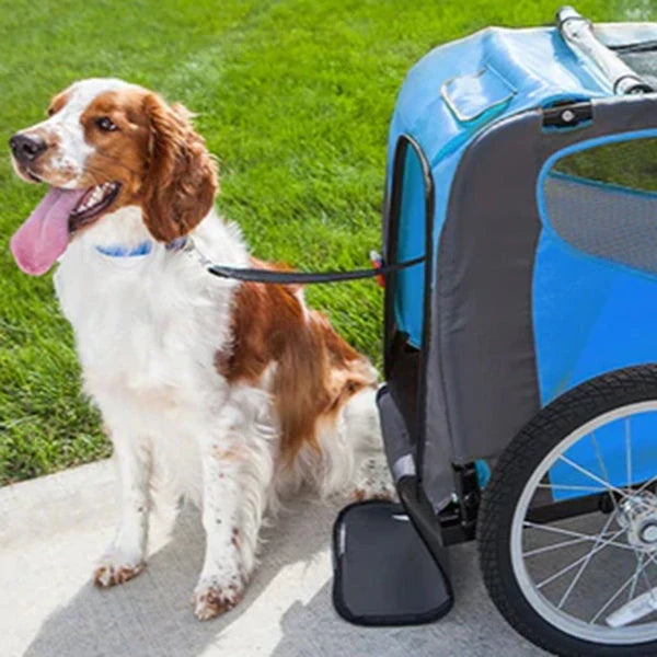 How to Bike With Your Dog