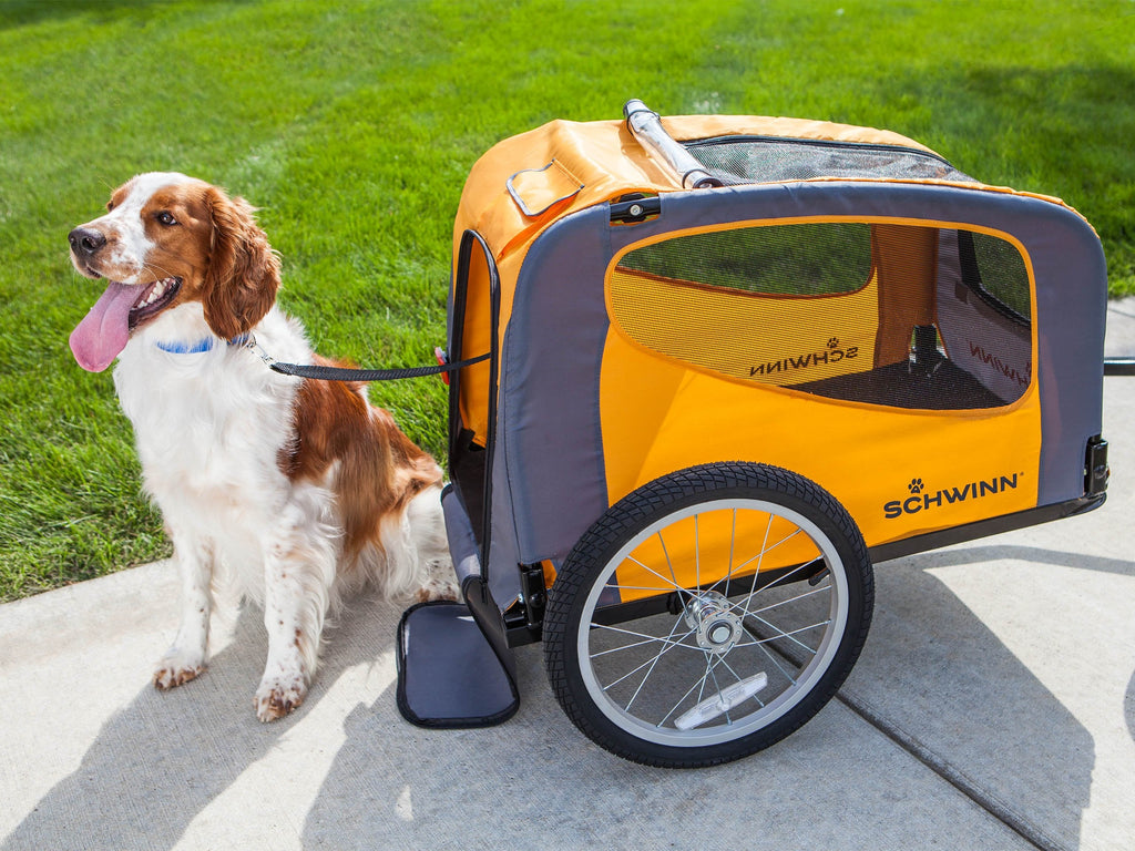 Rascal Pet Bike Trailer