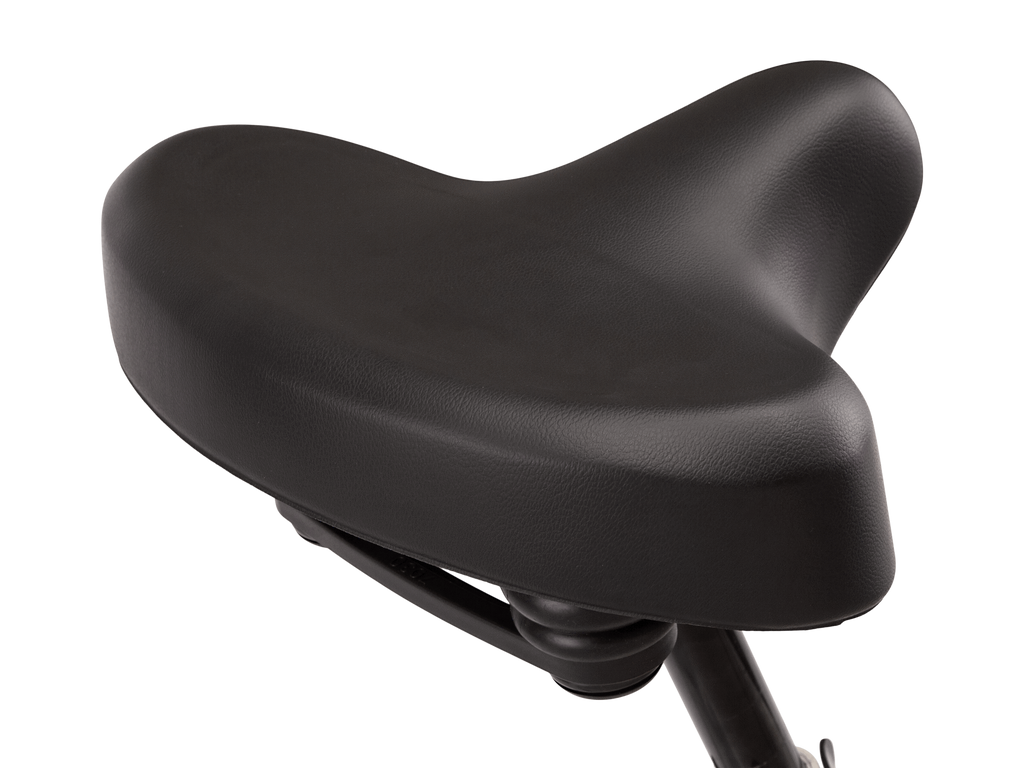 Regioneer 26" Step-Thru