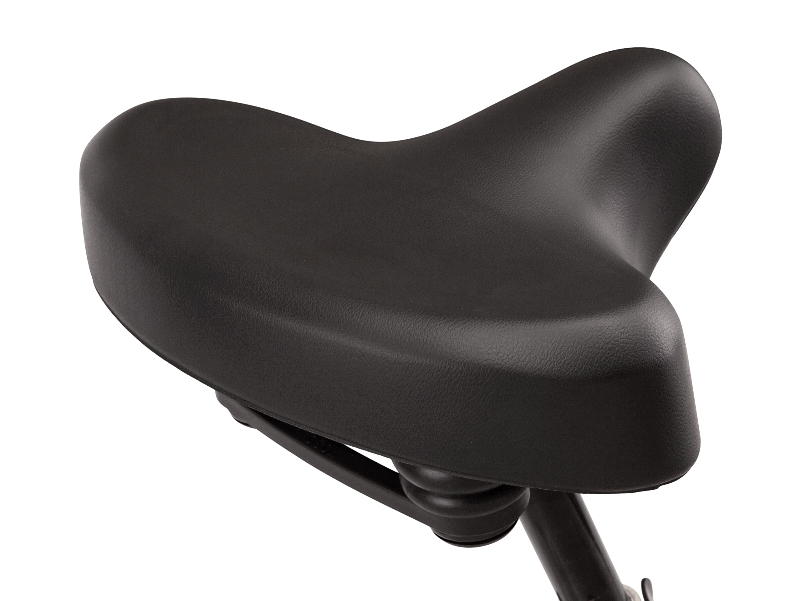 Regioneer 26" Step-Thru