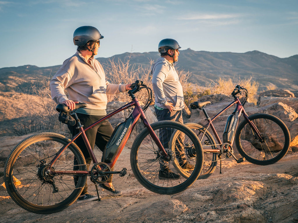 Regent Electric Bike