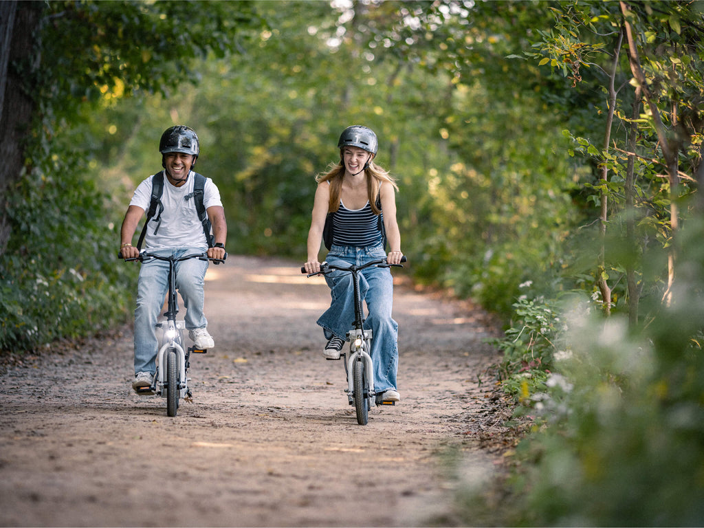 Twister Folding Electric Bike