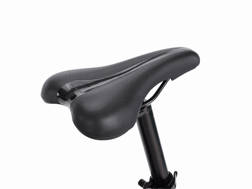 Parkwood Electric Bike