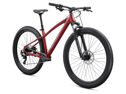 Axum Comp 29in