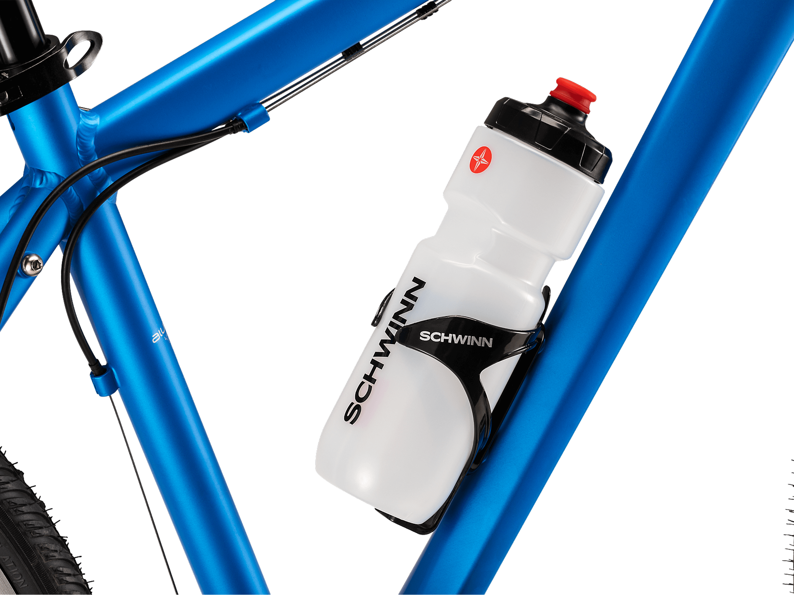 Water Bottle & Cage